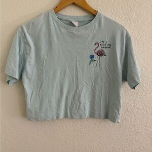 Zara Light Blue Flamingo Tee
